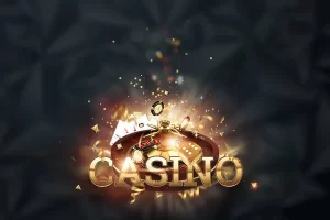 apaldo image 3